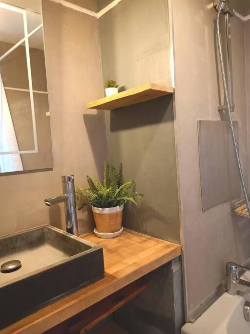 דירות מקסימיו Le Cosy Plein Centre Avec Terrasse מראה חיצוני תמונה